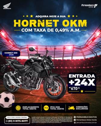 HONDA CB 500 HORNET HONDA CB 500 HORNET